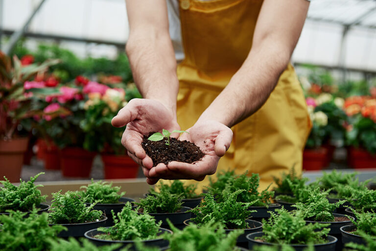 Producteur de fleurs, produits de pépinière, maraîchers et de jardins