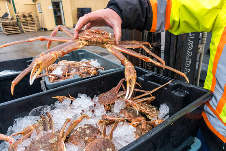 Crab & Lobster & Seafood Processing Plant