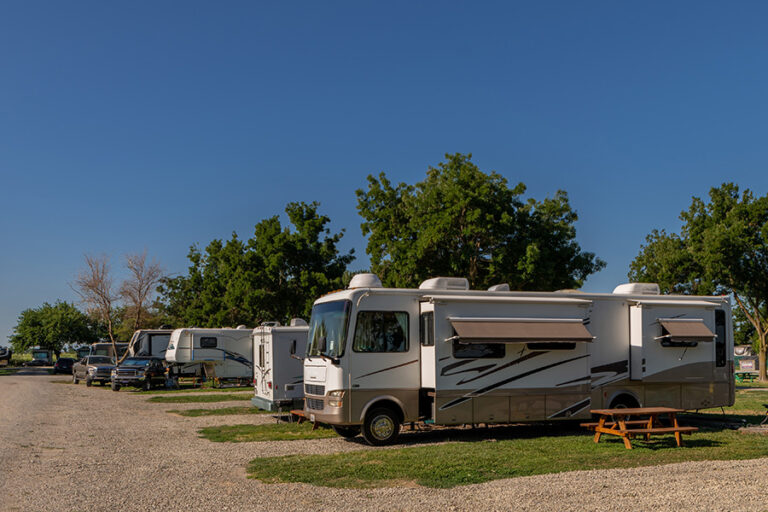 Camping between trees and sea